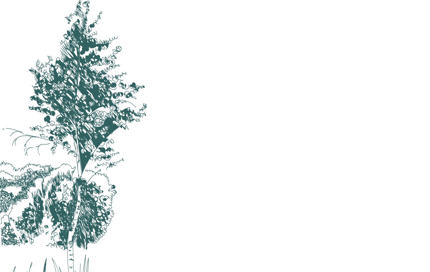 Vicomté, l'exception en bord d'émeuraude !